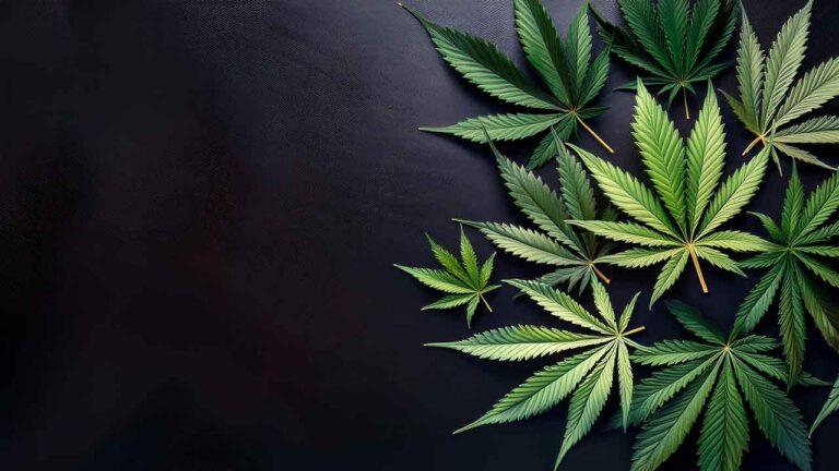Cannabis aus der Apotheke